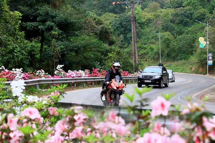 Bạn có thể đến Tam Đảo bằng nhiều phương tiện khác nhau