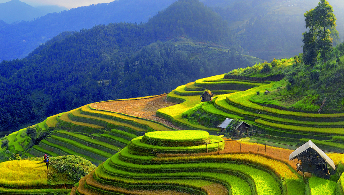 Điện Biên - Sơn La: Những cung đường đẹp nhất nhì Tây Bắc