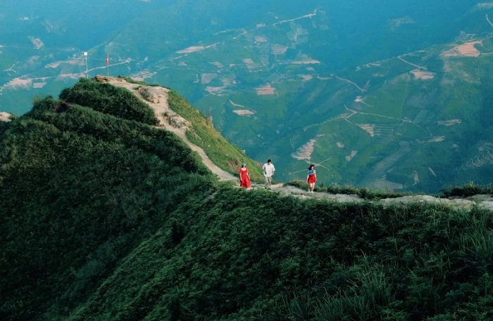 Sống lưng khủng long - Tà Xùa 